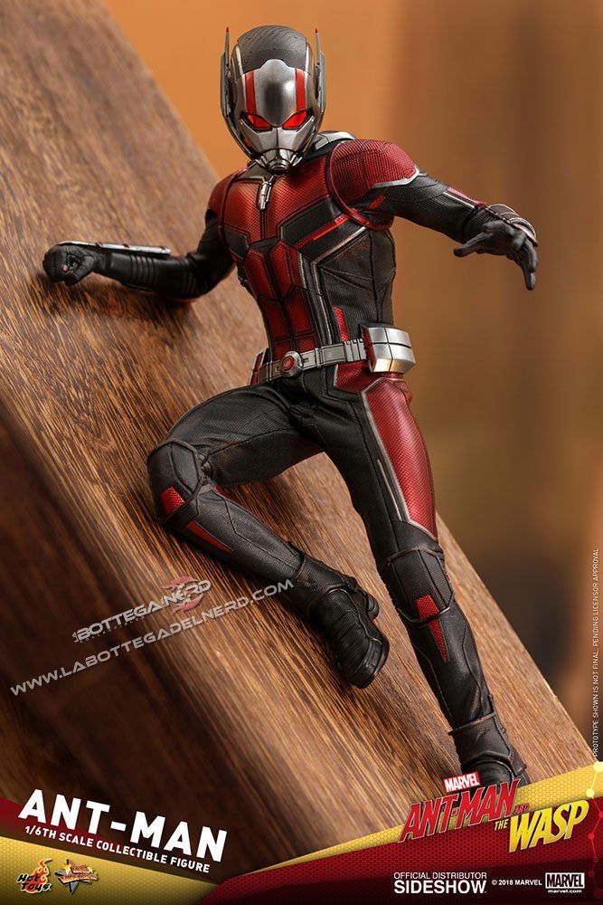 Ant-Man & The Wasp - Action Figure Ant-Man 30cm - immagine 5