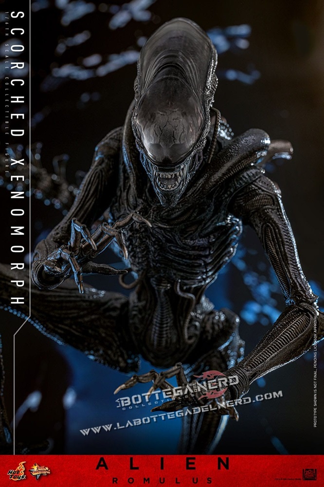 Alien: Romulus - Action Figure 1/6 Scorched Xenomorph 44cm - immagine 8