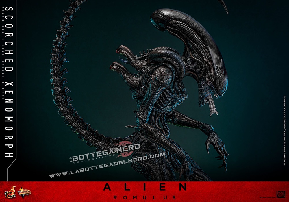 Alien: Romulus - Action Figure 1/6 Scorched Xenomorph 44cm - immagine 2