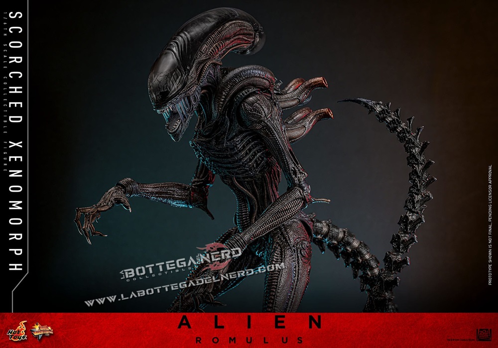 Alien: Romulus - Action Figure 1/6 Scorched Xenomorph 44cm - immagine 4