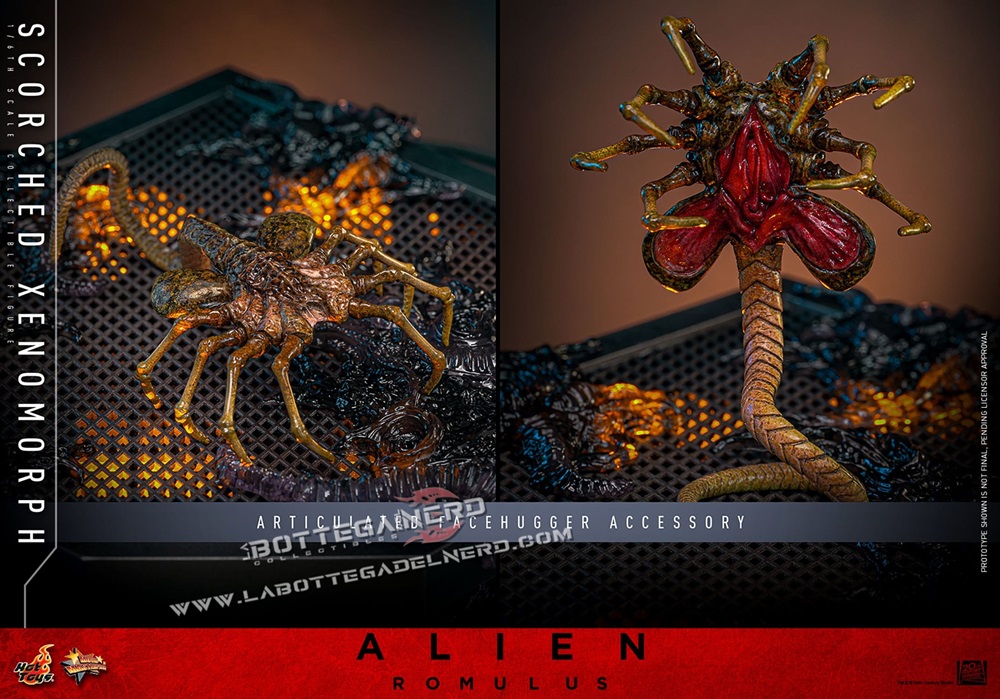 Alien: Romulus - Action Figure 1/6 Scorched Xenomorph 44cm - immagine 10