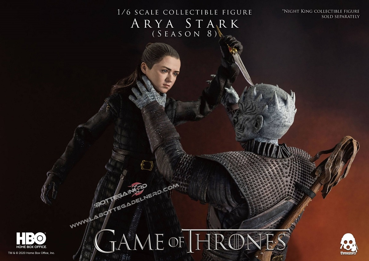Game of Thrones - Action Figure 1/6 Arya Stark 25cm - immagine 5
