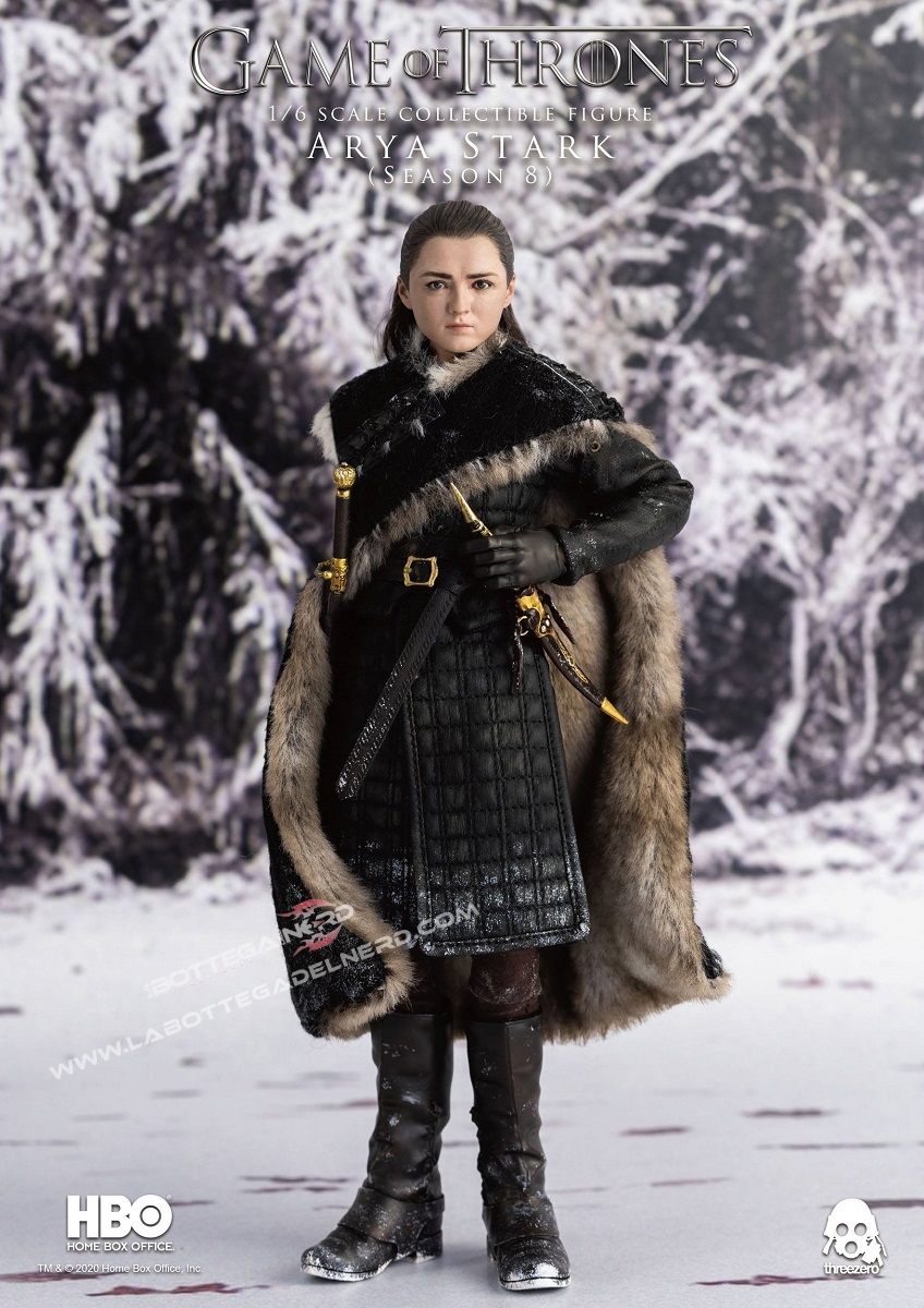 Game of Thrones - Action Figure 1/6 Arya Stark 25cm - immagine 6