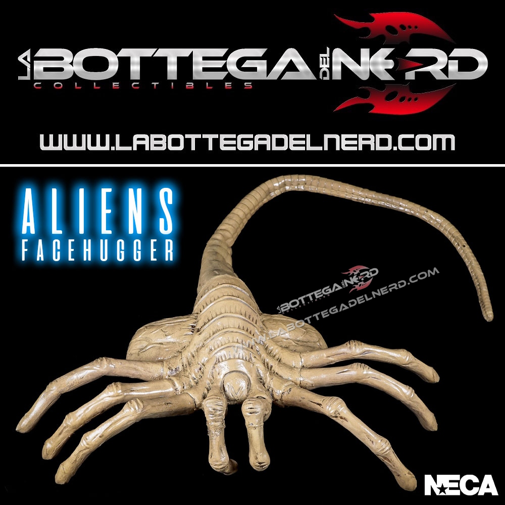 Aliens - Replica 1/1 Facehugger 105cm