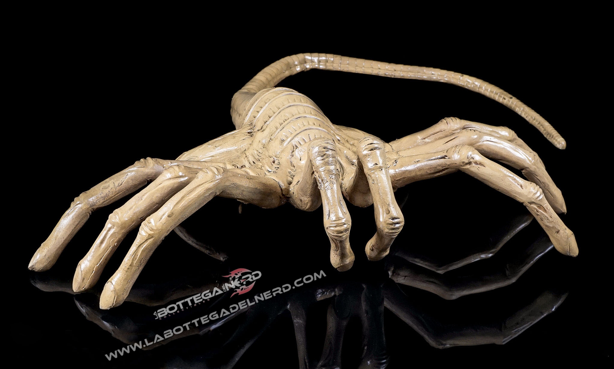 Aliens - Replica 1/1 Facehugger 105cm - immagine 2