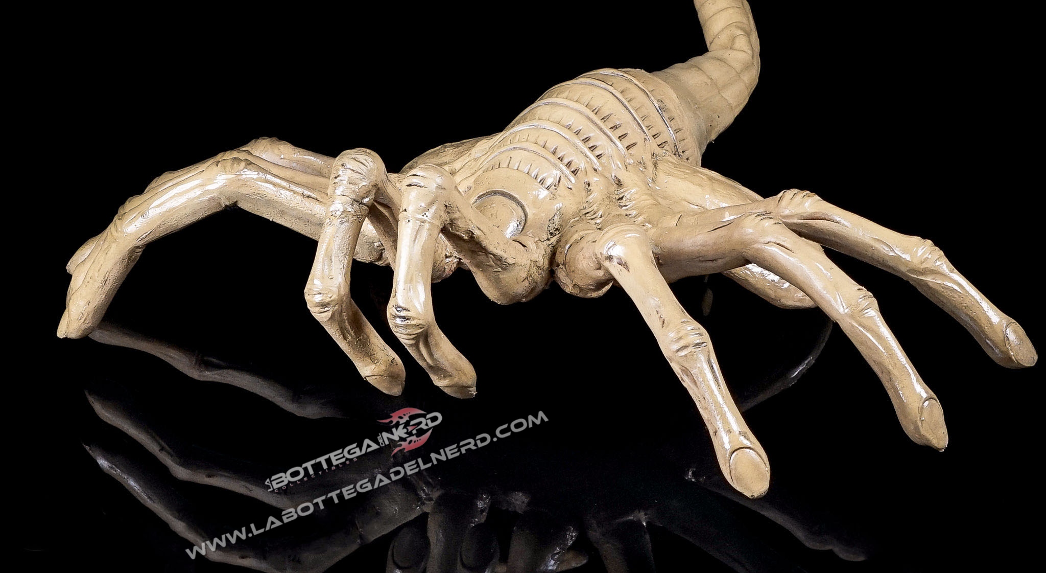 Aliens - Replica 1/1 Facehugger 105cm - immagine 3
