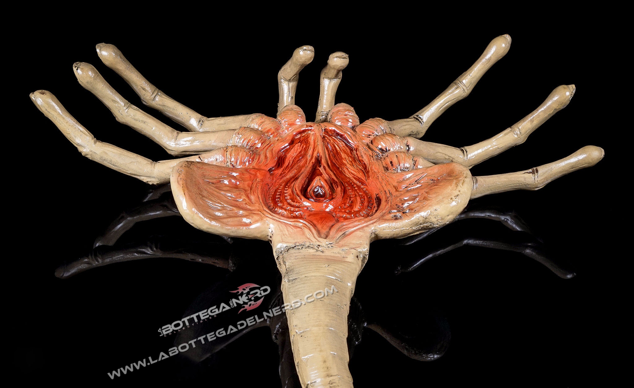 Aliens - Replica 1/1 Facehugger 105cm - immagine 5