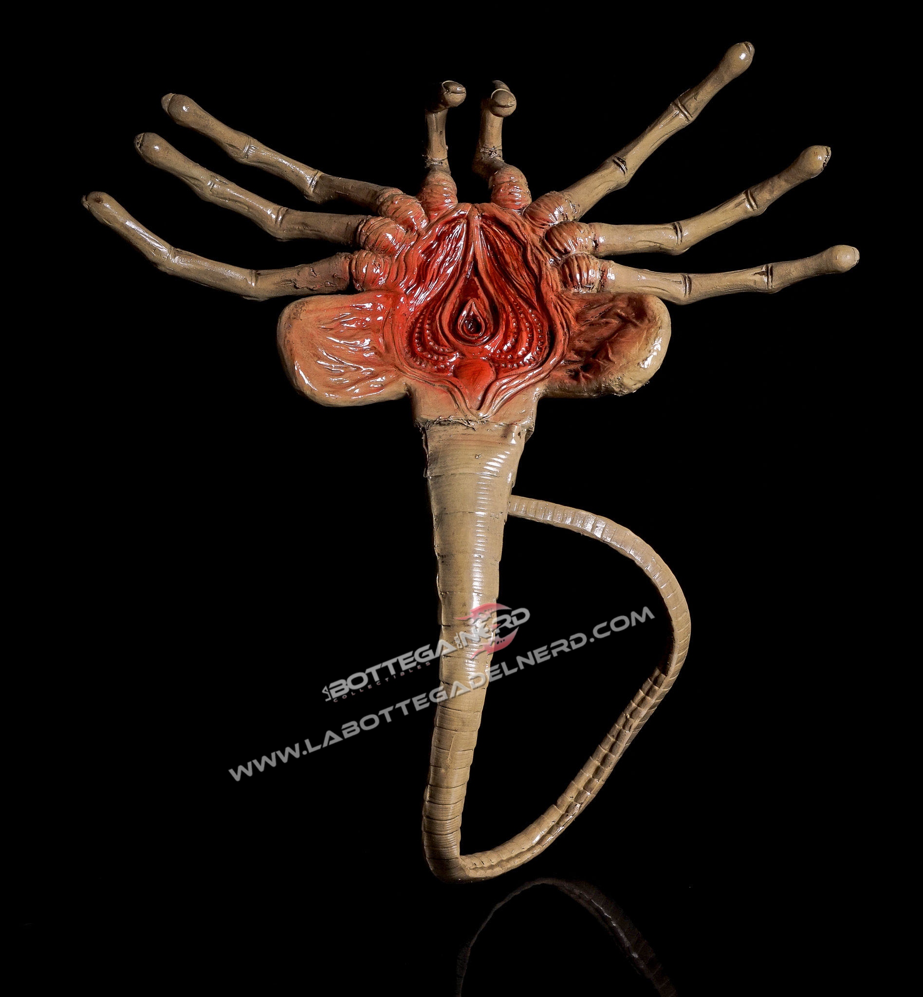 Aliens - Replica 1/1 Facehugger 105cm - immagine 4