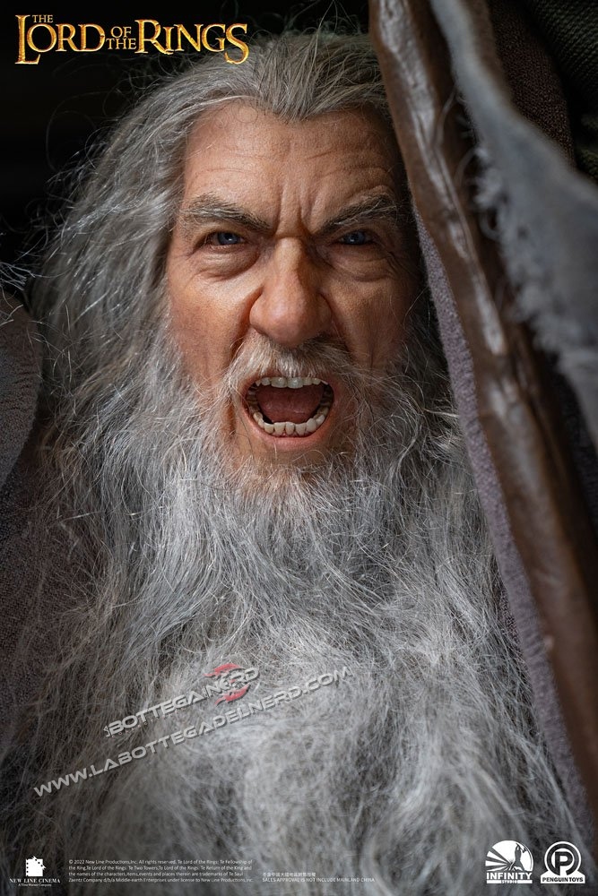 Lord Of The Rings - Statue 1/2 Gandalf The Grey Ultimate Edition 156cm - immagine 4