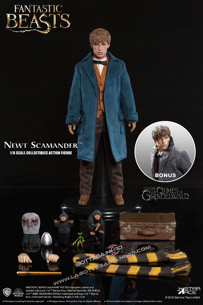 Animali Fanstastici - Action Figure 1/6 Newt Scamander grey coat - immagine 7