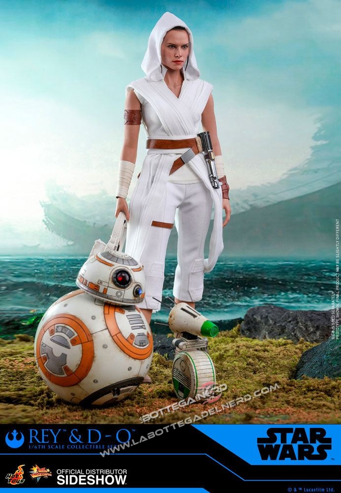 Star Wars Episode IX - Action Figure 1/6 Rey & D-O 28cm - immagine 4