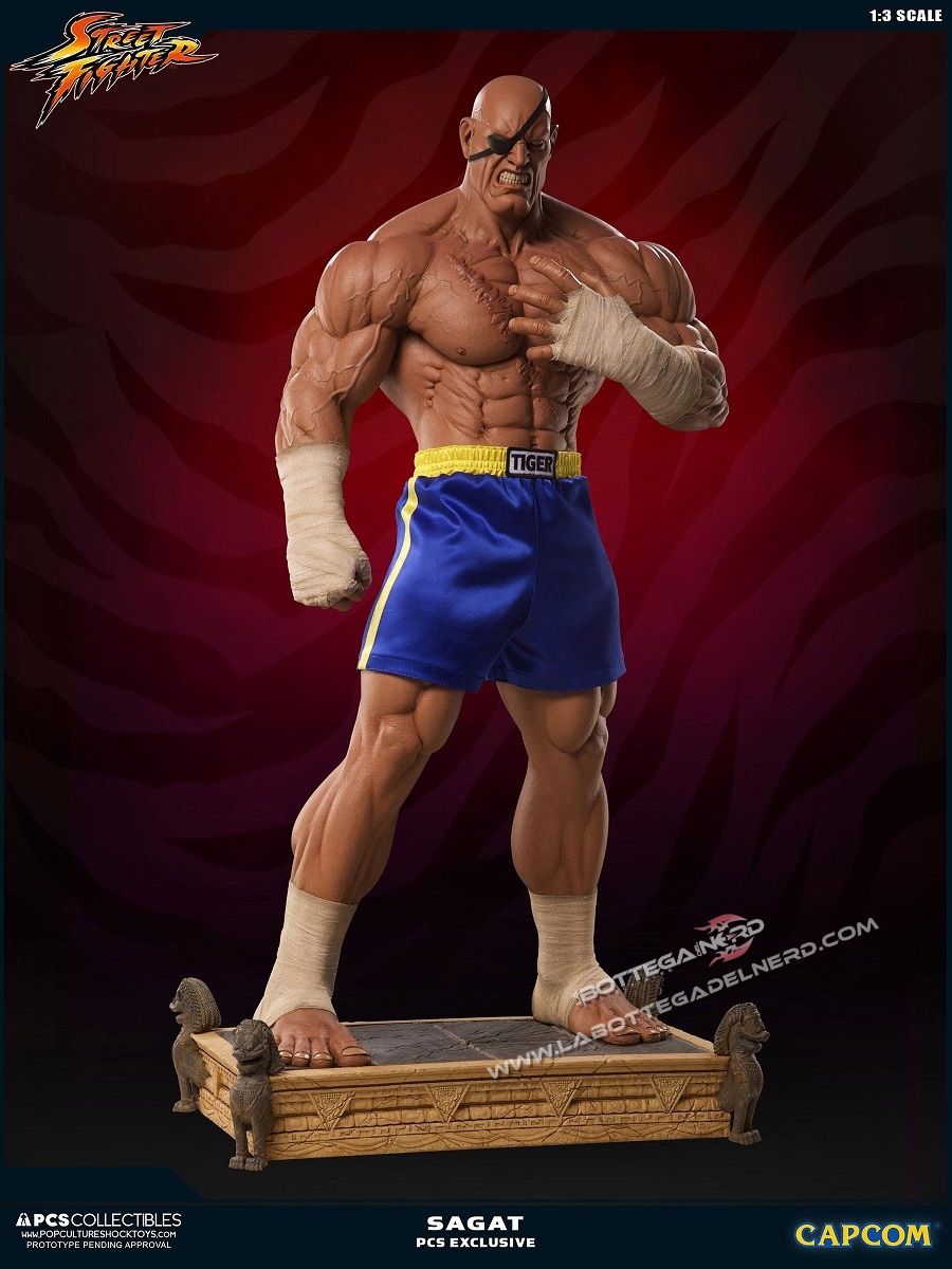 Street Fighter - Statua 1/3 Sagat Exclusive 93cm - immagine 8
