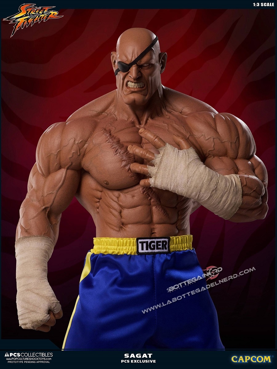 Street Fighter - Statua 1/3 Sagat Exclusive 93cm - immagine 7
