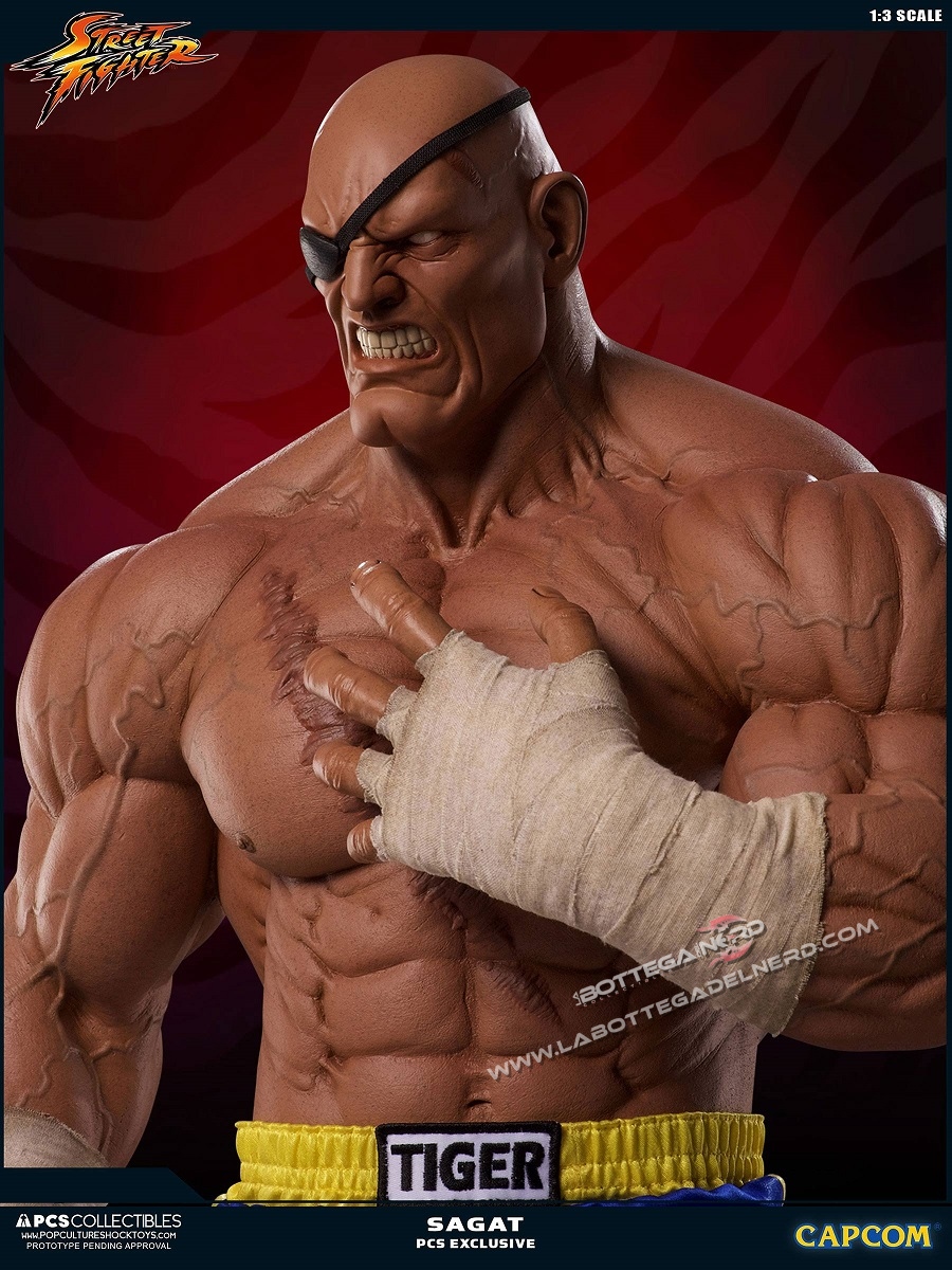Street Fighter - Statua 1/3 Sagat Exclusive 93cm - immagine 6