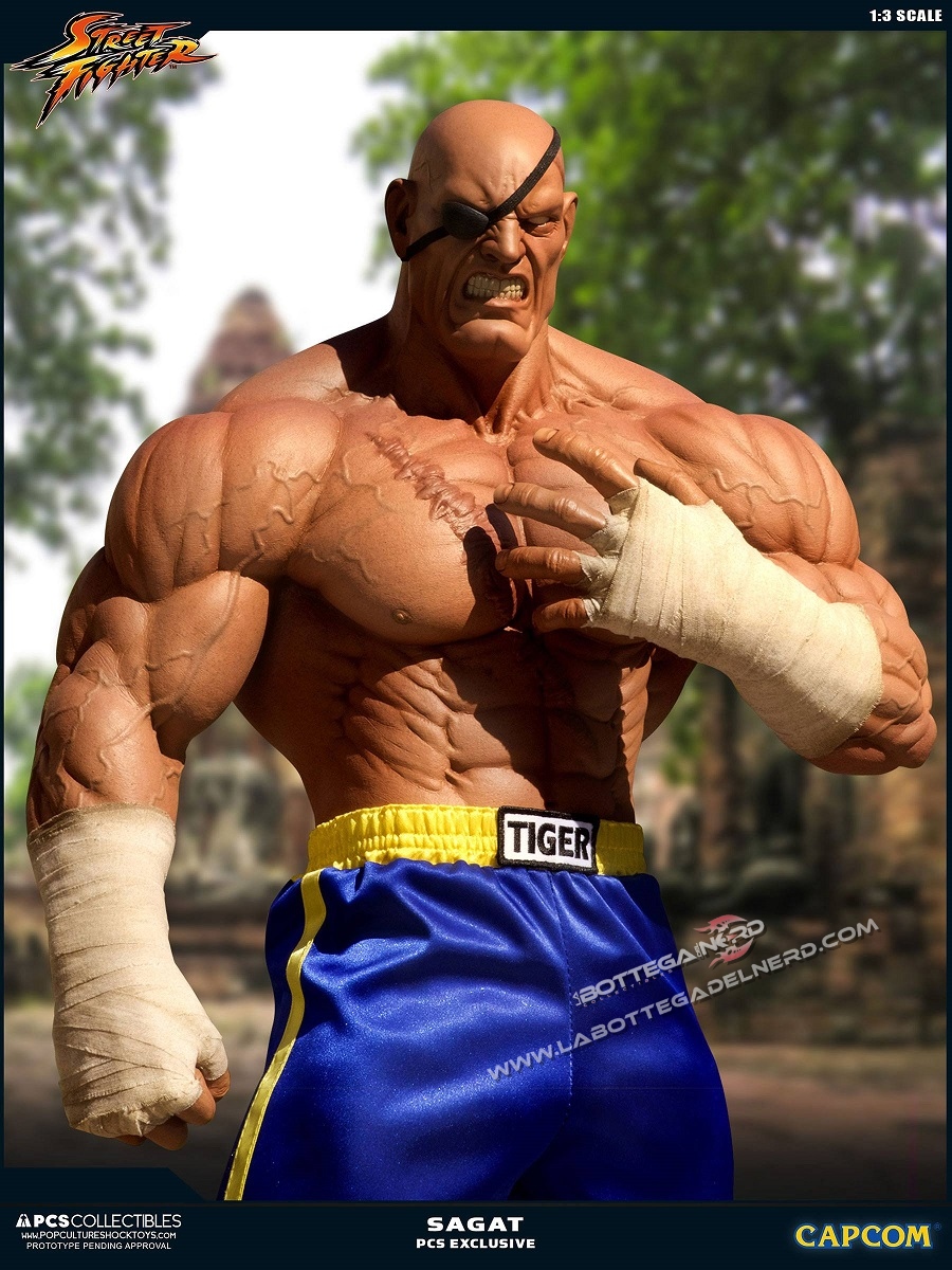 Street Fighter - Statua 1/3 Sagat Exclusive 93cm - immagine 4