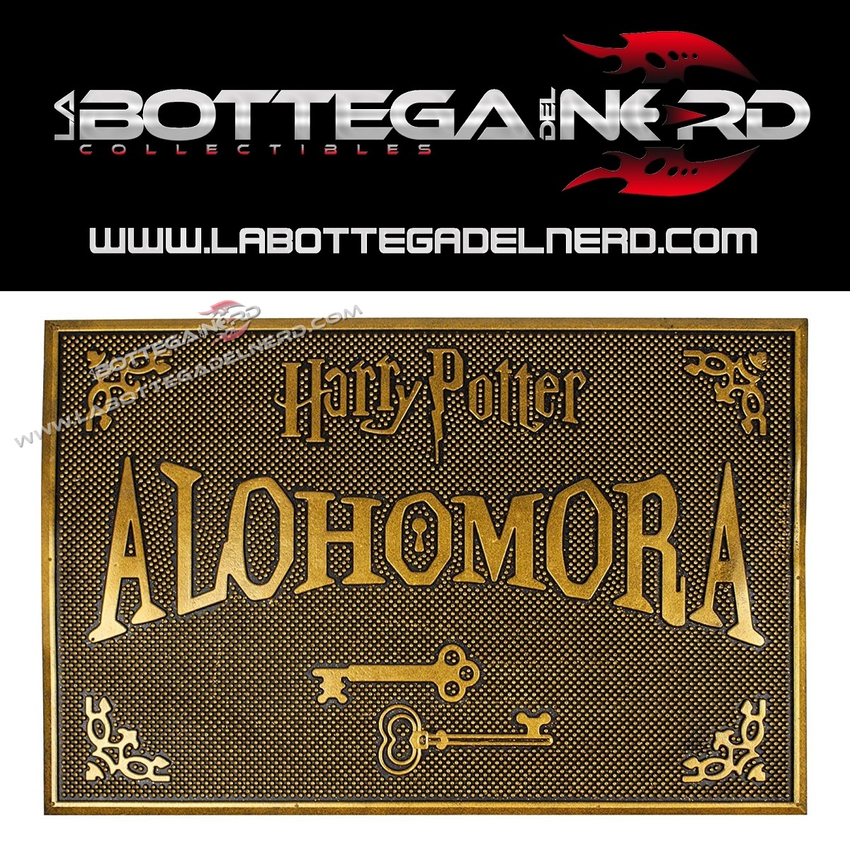 ZERBINO IN GOMMA - Harry Potter "AlohomorA" 40x60