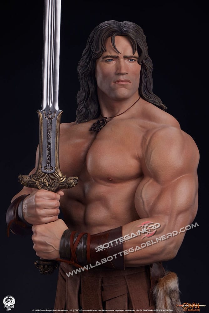 Conan il Barbaro - Elite Series Statue 1/2 Conan 116cm - immagine 6