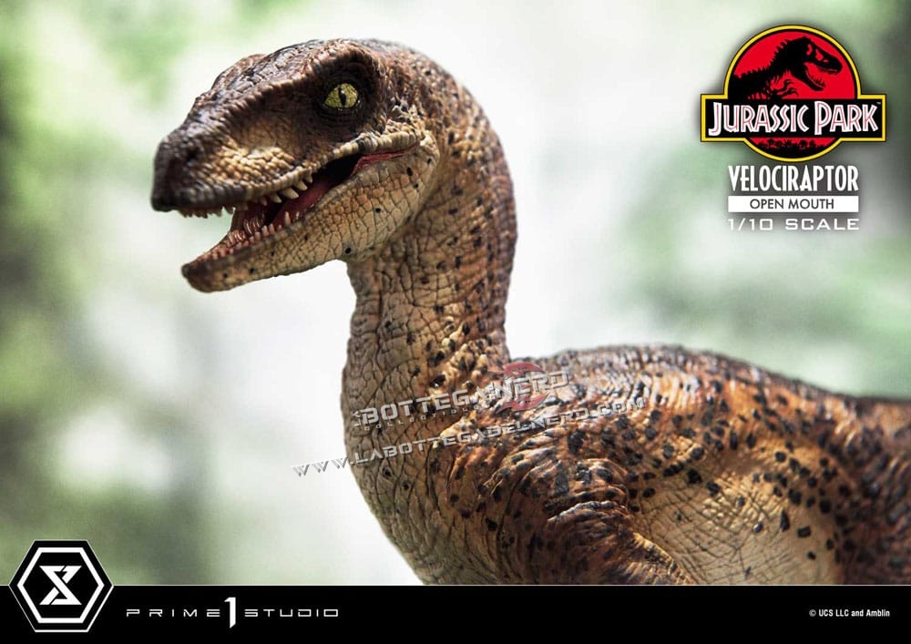Jurassic Park - Statue 1/10 Velociraptor Open Mouth 20cm - immagine 4