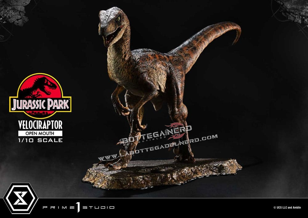 Jurassic Park - Statue 1/10 Velociraptor Open Mouth 20cm - immagine 5