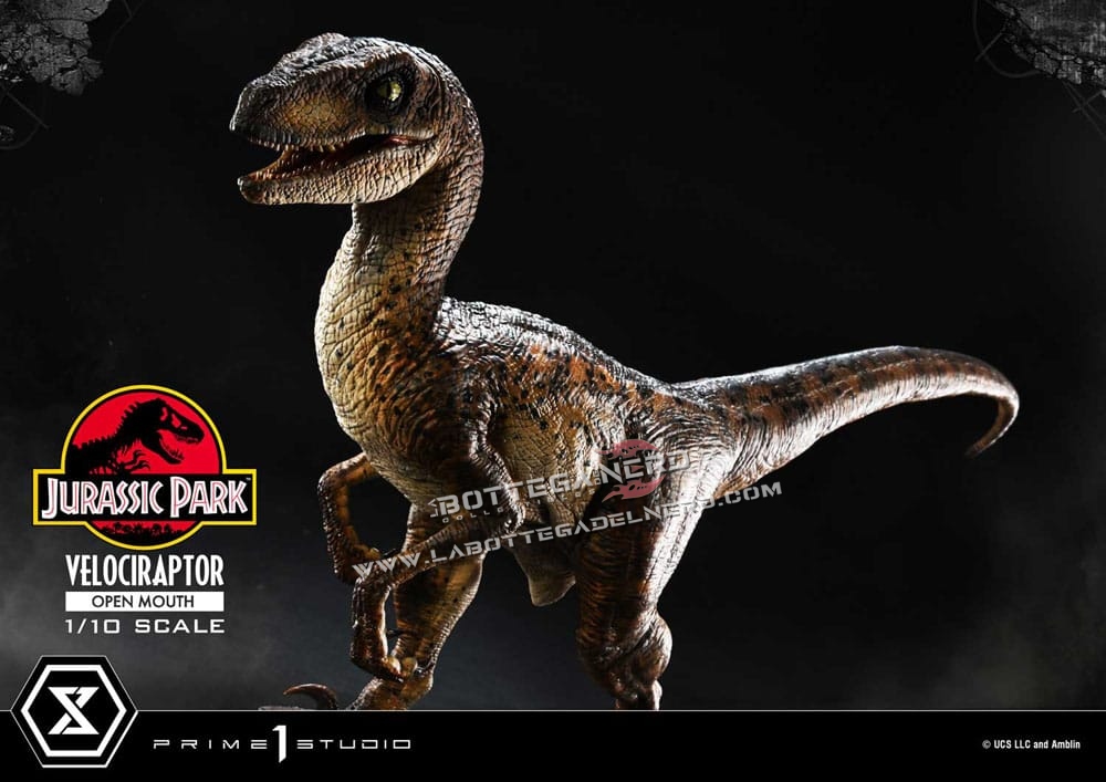 Jurassic Park - Statue 1/10 Velociraptor Open Mouth 20cm - immagine 8