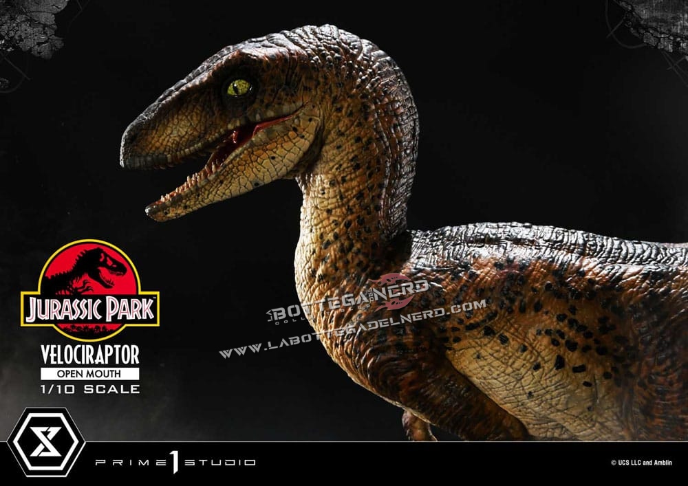 Jurassic Park - Statue 1/10 Velociraptor Open Mouth 20cm - immagine 6