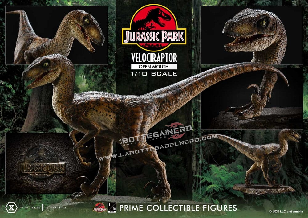 Jurassic Park - Statue 1/10 Velociraptor Open Mouth 20cm - immagine 12