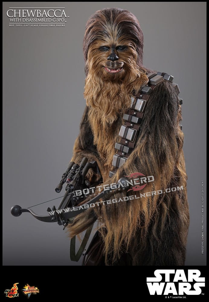 Star Wars Episode V - Action Figure 1/6 Chewbacca with C-3PO 36cm - immagine 2