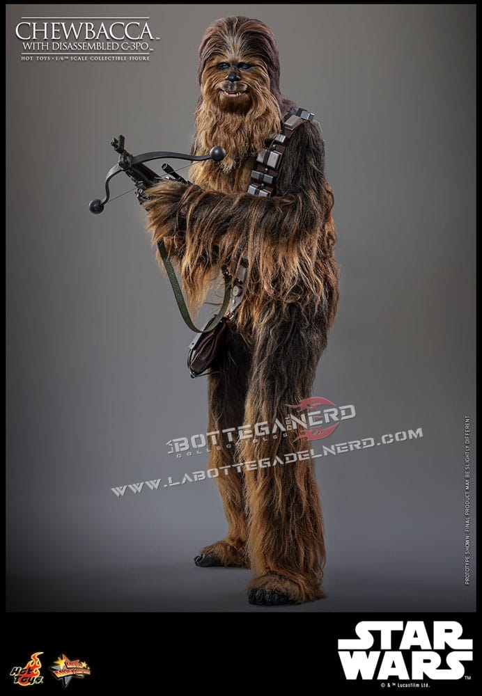 Star Wars Episode V - Action Figure 1/6 Chewbacca with C-3PO 36cm - immagine 3