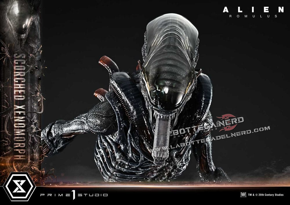 Alien: Romulus - XL Statue 1/3 Scorched Xenomorph Deluxe 98cm - immagine 16