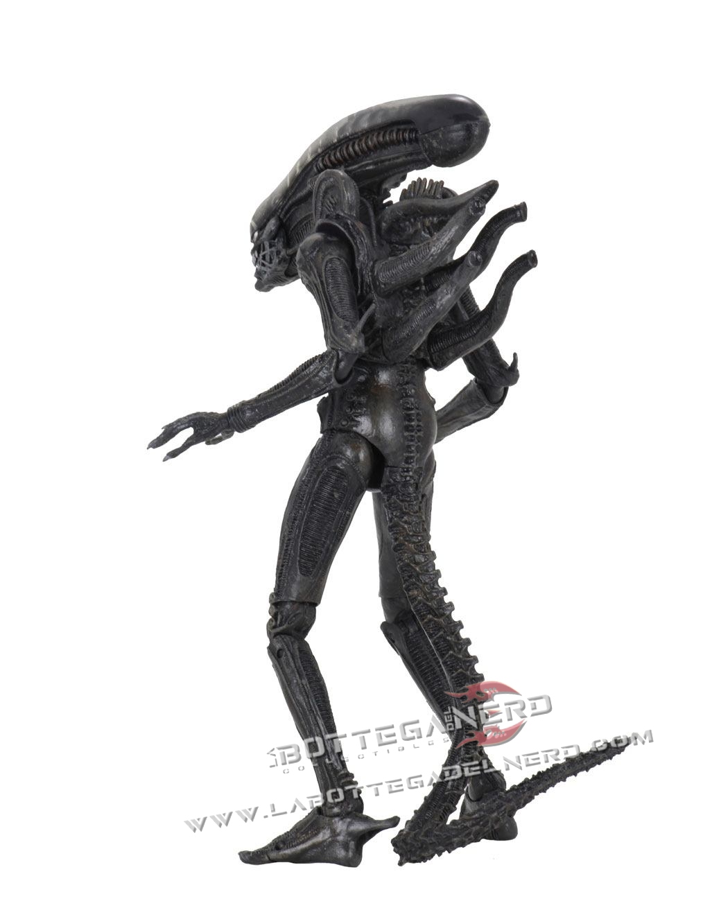 Alien 1979 - Action Figure Ultimate 40th Anniversary Big Chap 23cm - immagine 3