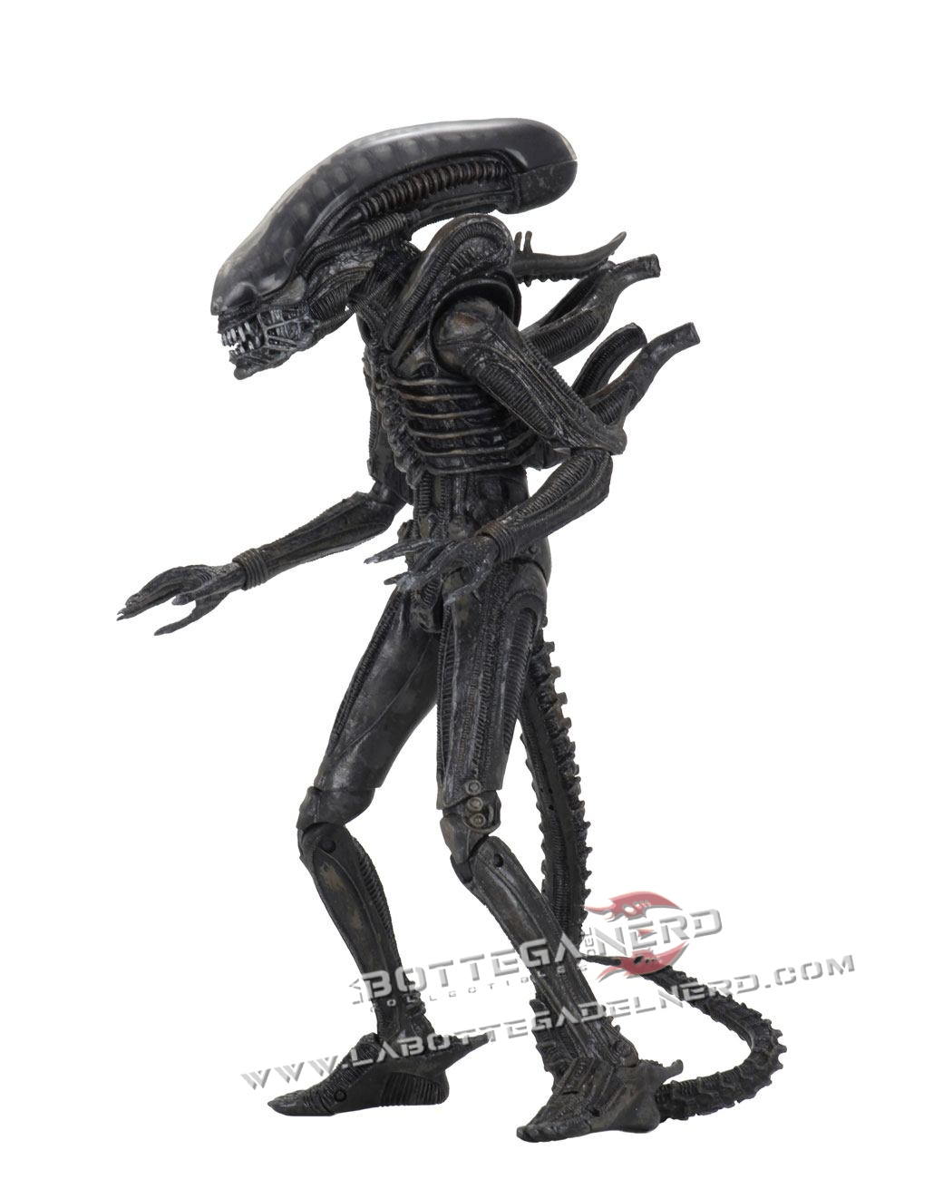 Alien 1979 - Action Figure Ultimate 40th Anniversary Big Chap 23cm - immagine 2