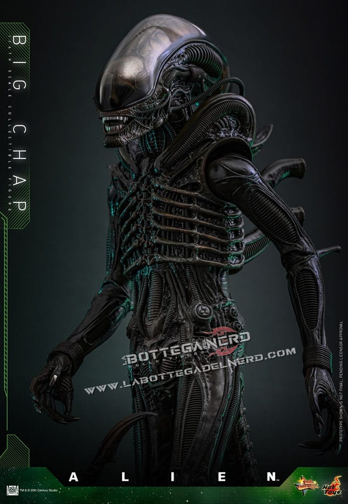 Alien - Masterpiece Action Figure 1/6 Big Chap 36cm - immagine 3