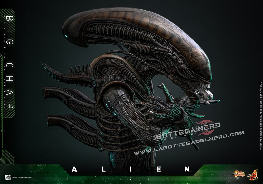 Alien - Masterpiece Action Figure 1/6 Big Chap 36cm - immagine 8