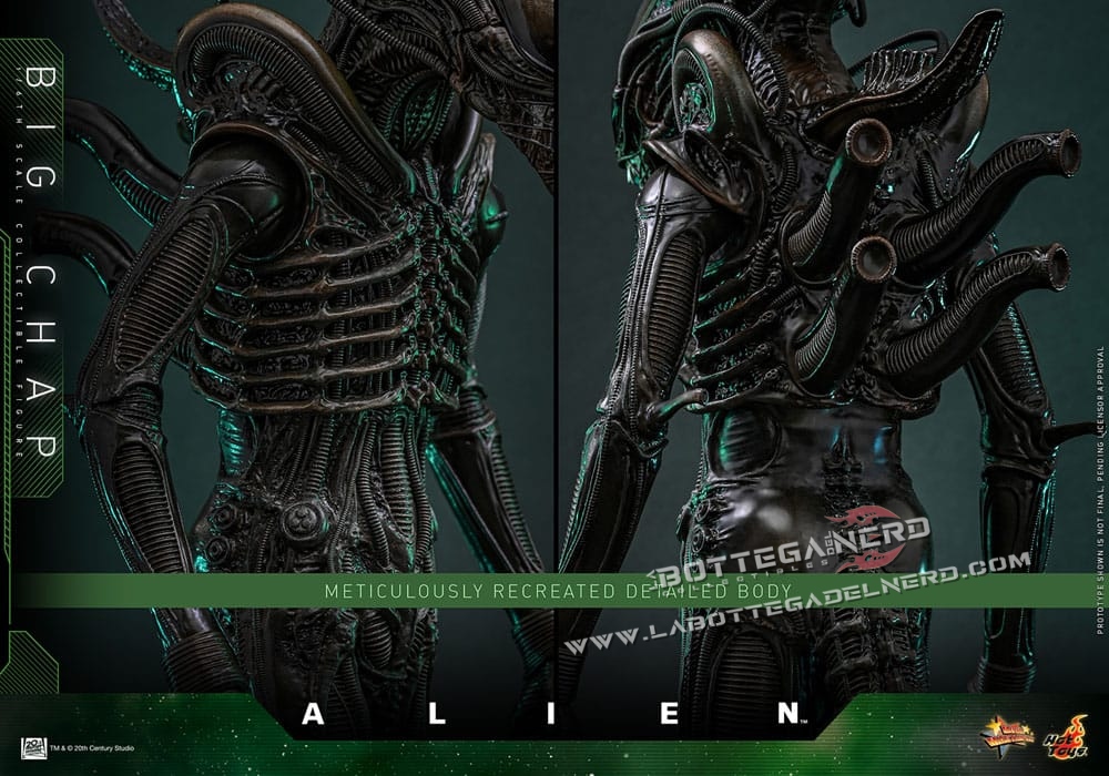 Alien - Masterpiece Action Figure 1/6 Big Chap 36cm - immagine 11