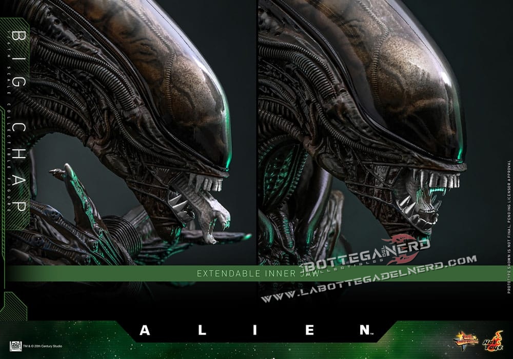 Alien - Masterpiece Action Figure 1/6 Big Chap 36cm - immagine 12