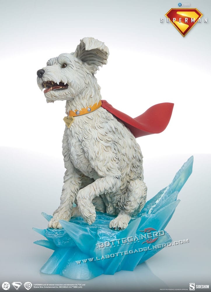 Superman - Premium Format Statue Superman & Krypto 61 - 23cm - immagine 9